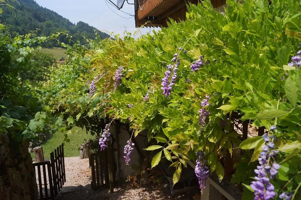 La Ferme Du Lynx Hotel La Vernaz Guest house